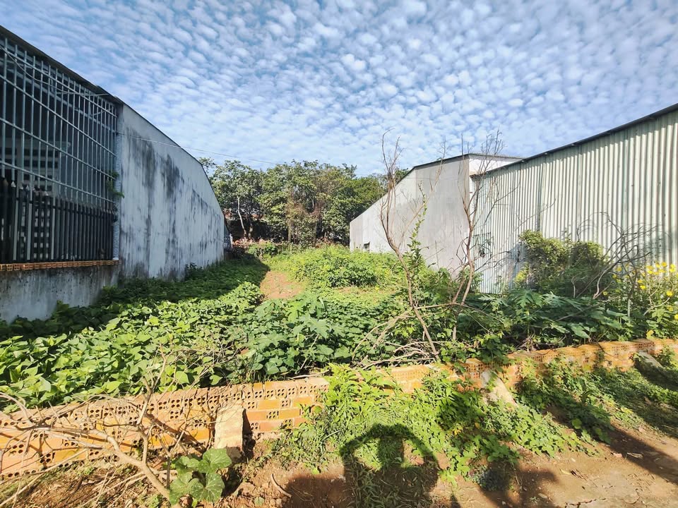 Bán đất thổ cư 10m x 25m tại phường Tân Đồng, Đồng Xoài, Bình Phước