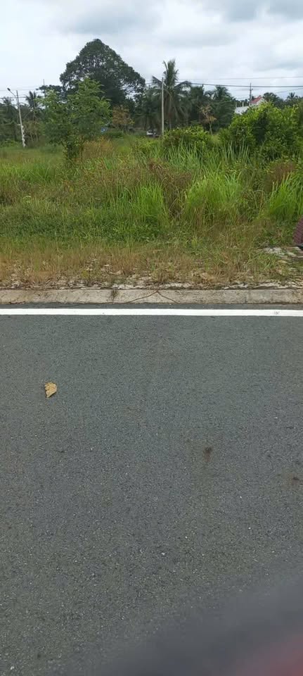 Đất nền tái định cư khu công nghiệp Phú Thuận, Bình Đại, Bến Tre, giá hấp dẫn