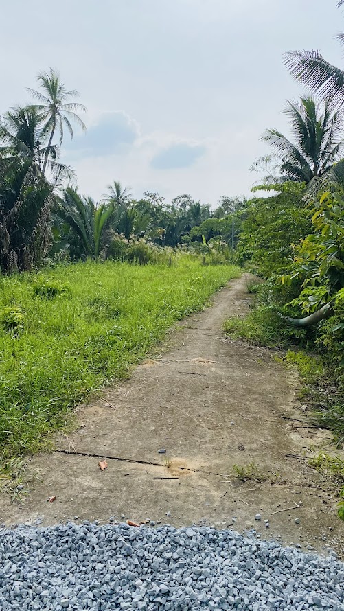 Bán lô đất vuông vắn, rộng rãi 500m2 tại phường An Hội, giá chỉ 700 triệu