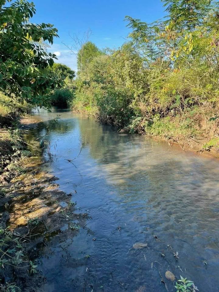 Siêu phẩm đất nền view suối cực chill đã sẵn sàng chào đón chủ nhân mới