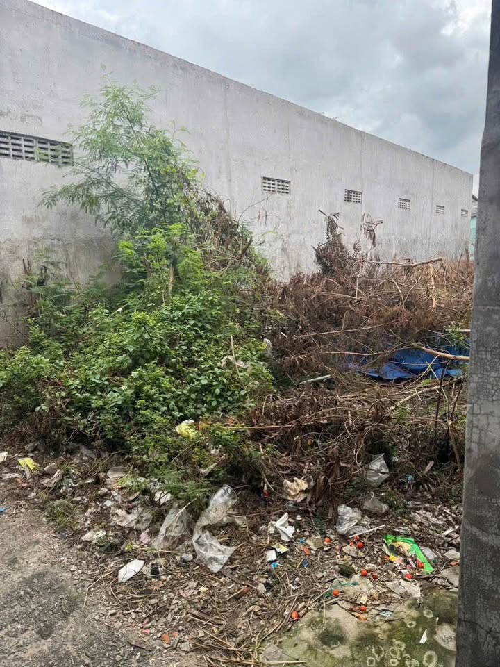 Đất cây trồng Nội Thành Xuân An giá chỉ 550 triệu, chốt nhanh