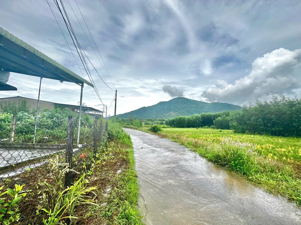 Bán nhà cấp 4 siêu hời tại xã Diên Lâm, diện tích 102m2, giá 650 triệu