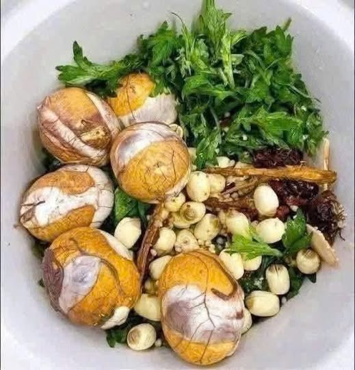 Đất mặt tiền Hòa Long, Bà Rịa, vị trí đẹp, giá tốt