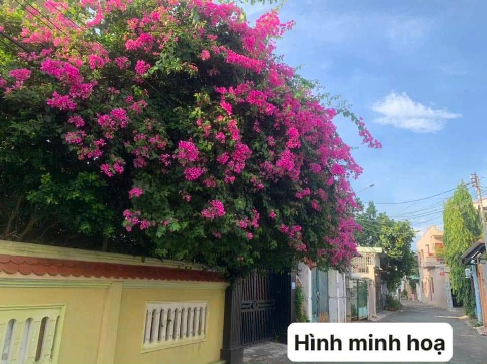 Cho thuê nhà 3 phòng ngủ, 3WC, 90m2, mặt tiền 5m, đường Hoàng Hoa Thám, Vũng Tàu