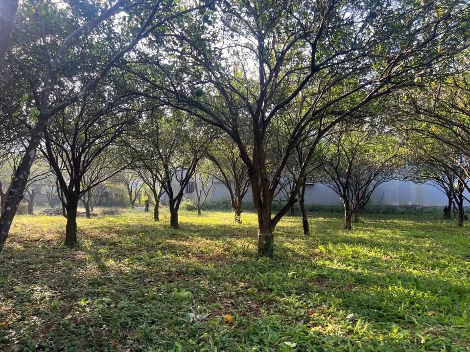 Siêu phẩm đất nền duy nhất tại Tân Lạc, Hòa Bình đang chờ chủ nhân may mắn