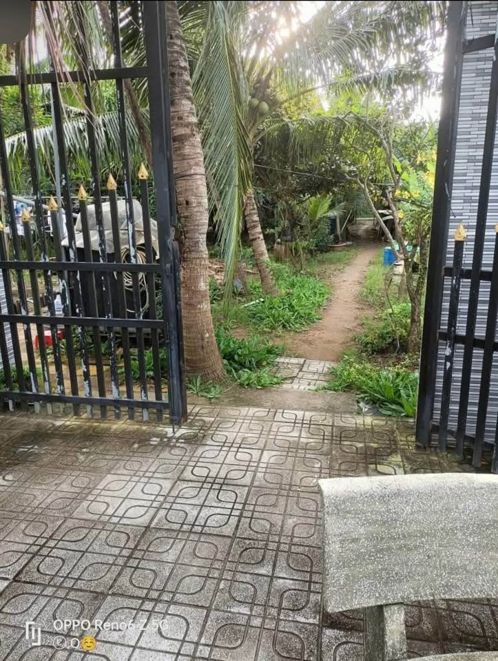 Thanh lý biệt thự mái Thái 1000m2, 1.9 tỷ, Bến Tre