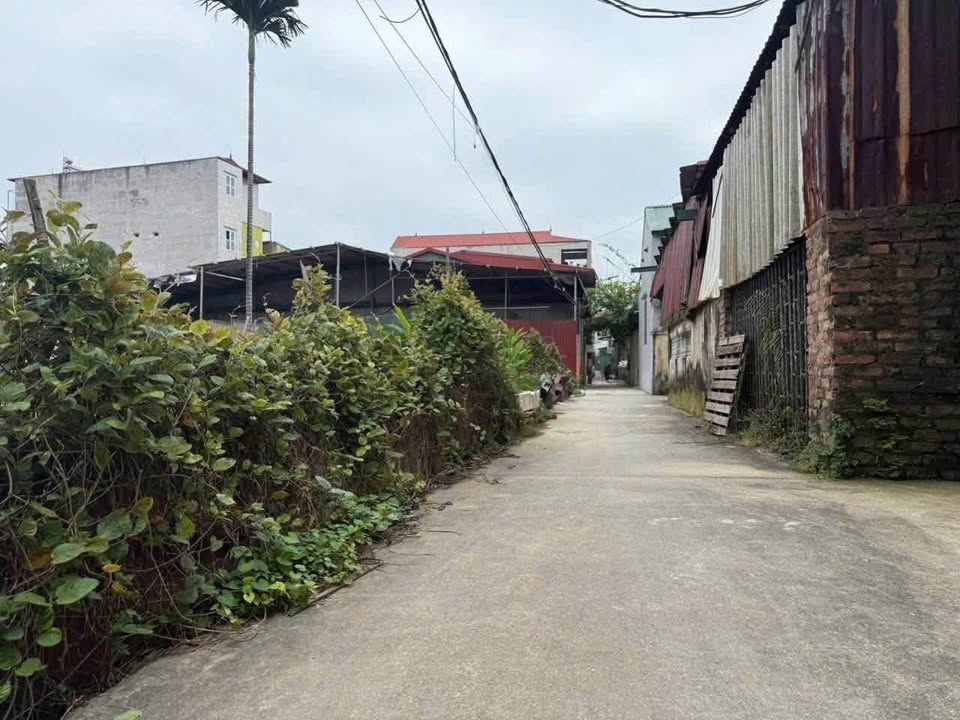 Mảnh đất thổ cư vuông vắn, pháp lý minh bạch tại Kim Thiều, Từ Sơn, Bắc Ninh đang chờ đón chủ nhân mới