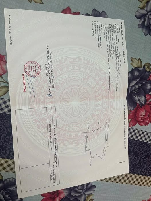 Bán 5000m2 đất đỏ sỏi Gia Lai, 2 mặt tiền đường, giá chỉ 350 triệu