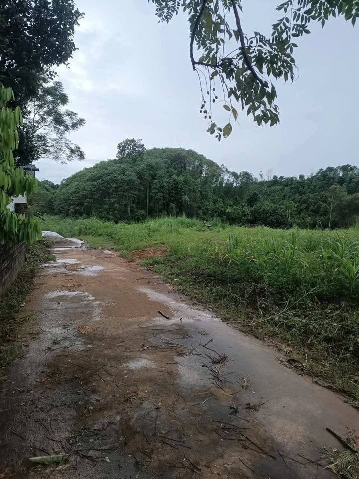 Đất xinh gần Cầu Văn Phú, ô tô vi vu, sổ đỏ sẵn sàng