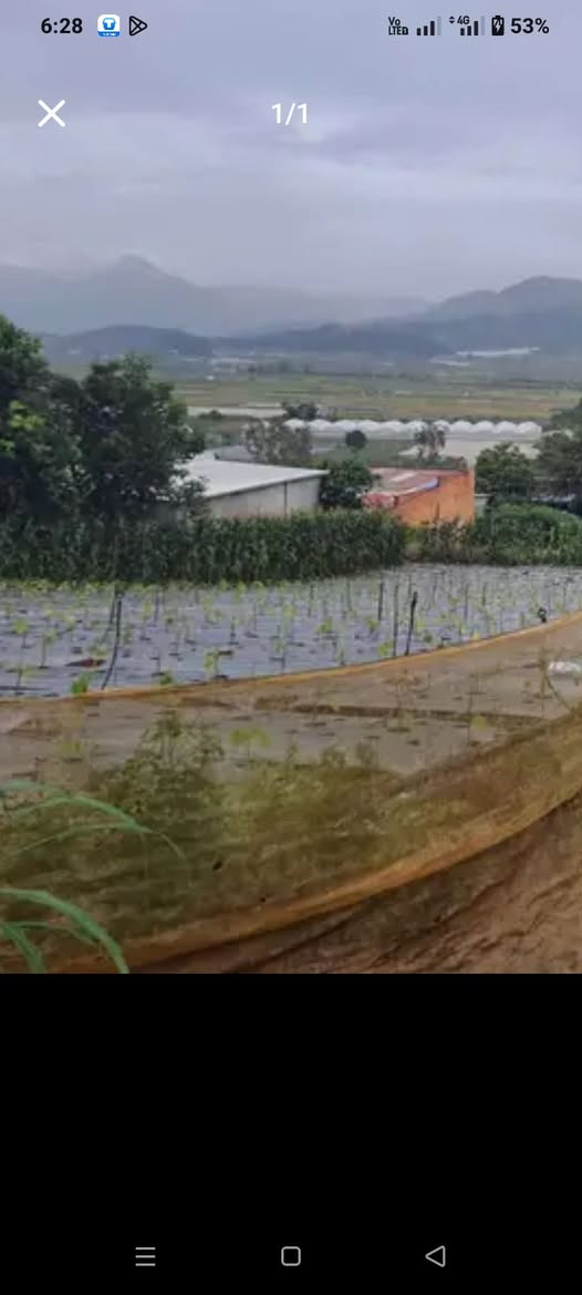 Đất đẹp 1000m2 Đơn Dương, mặt tiền đường, giá hời 1,25 tỷ