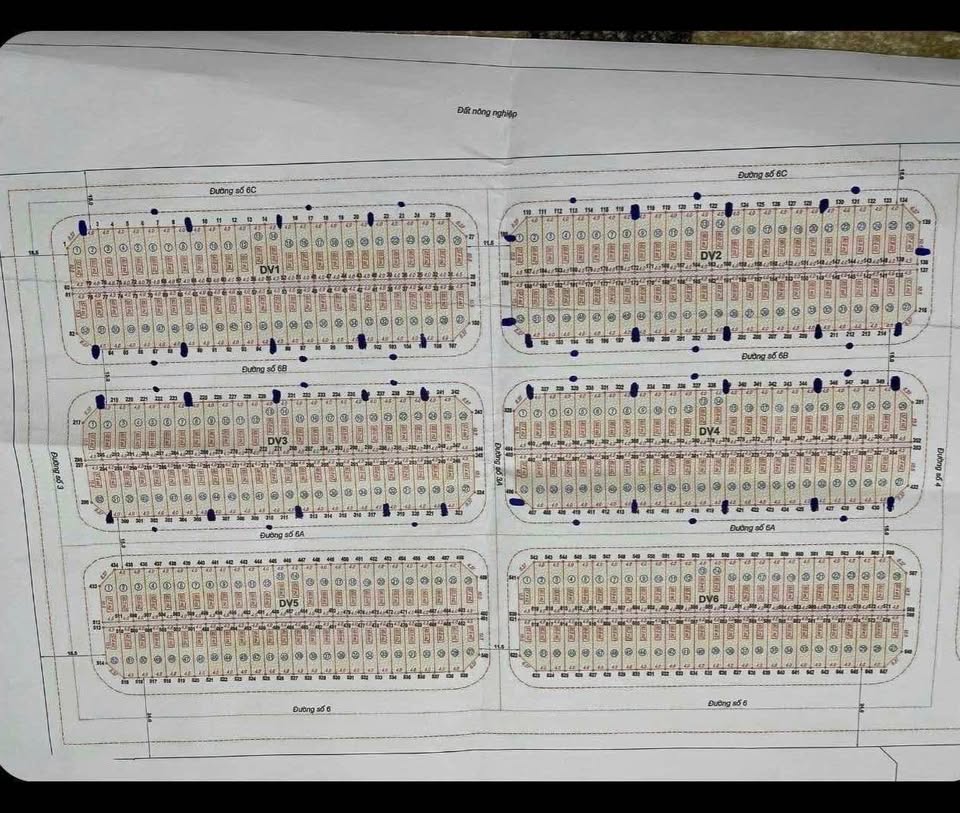 Đất nền tiềm năng tại Vũ Thư, Thái Bình, cơ hội đầu tư sinh lời