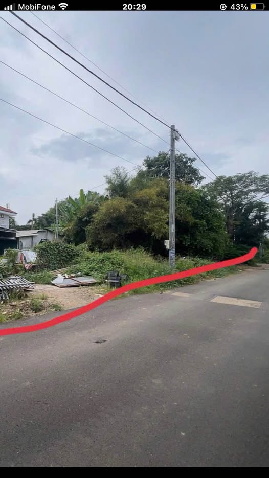 Bán đất vườn 920m2 mặt tiền đường nhựa, trung tâm Bà Rịa