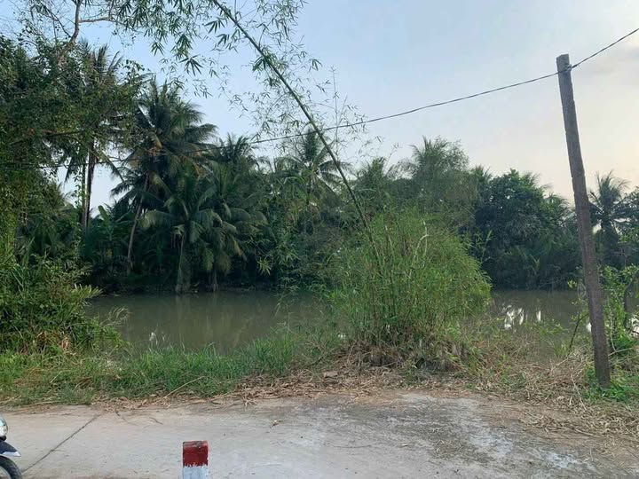 Bán nền đất mặt tiền hẻm thoáng đãng tại Thành Triệu, Bến Tre, giá chỉ 460 triệu