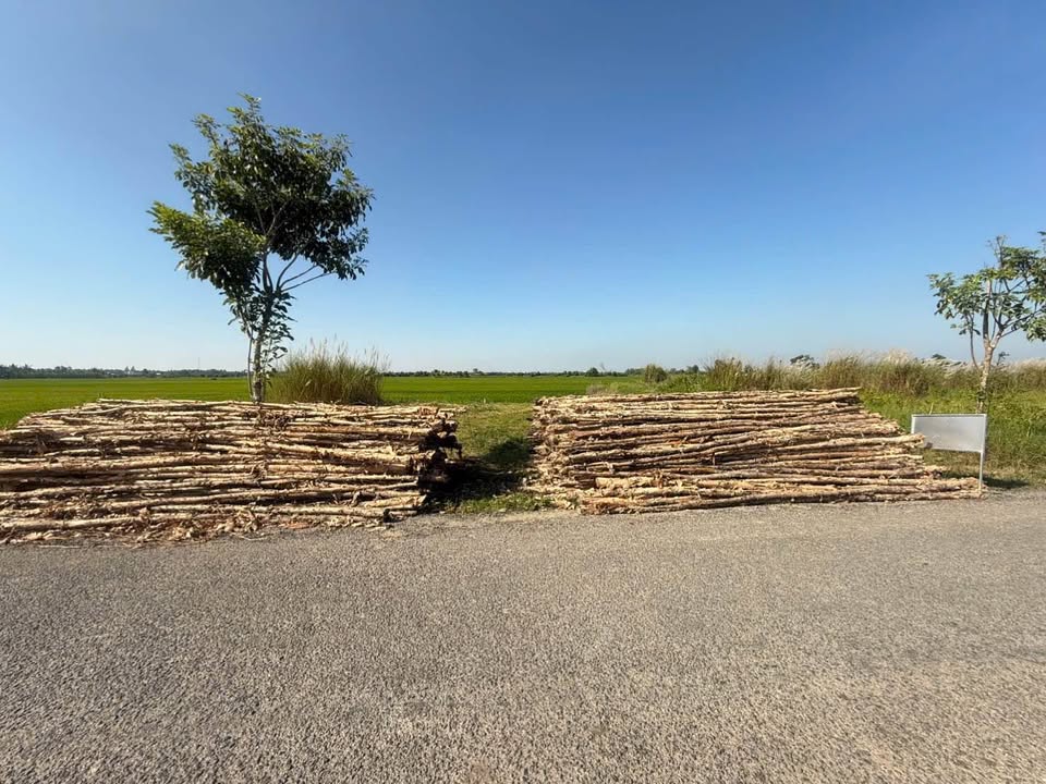 Nền mặt tiền đường Lâm Quang Ky, Châu Thành, vị trí đắc địa, sinh lời bền vững