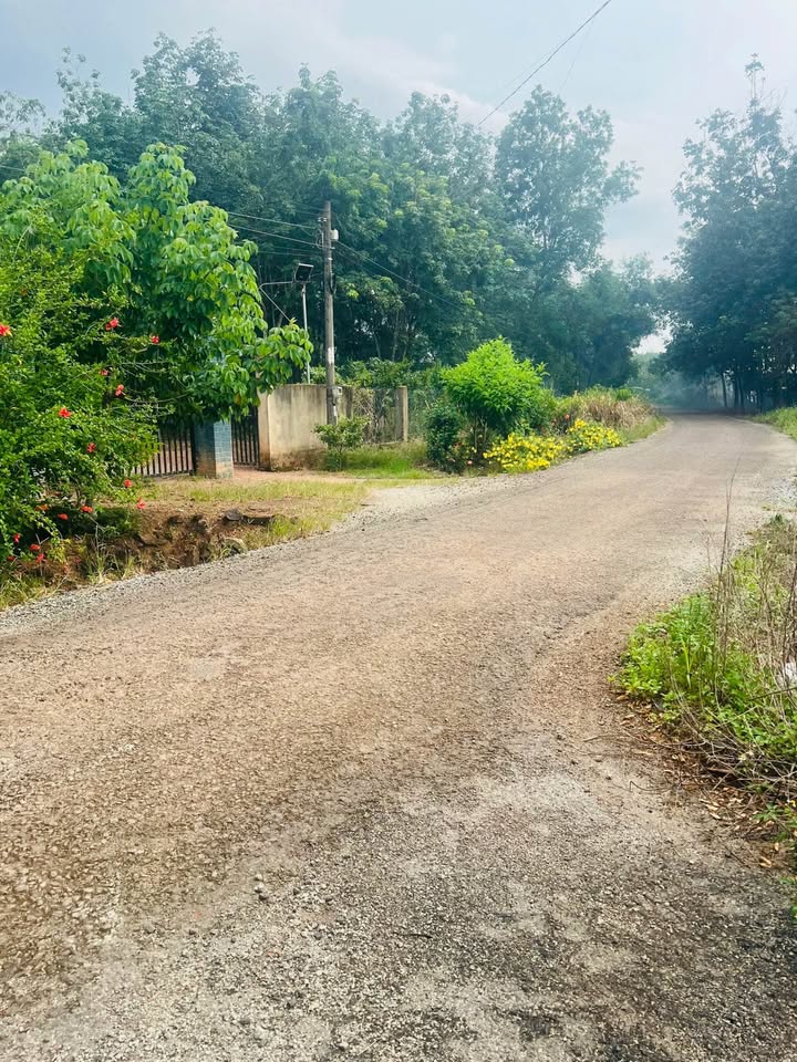 Đất Bình Phước, sổ sẵn, đầu tư là lời