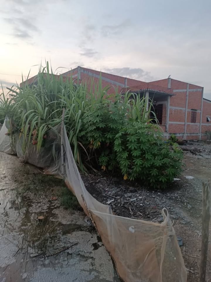 Cần bán gấp nhà diện tích rộng tại Đức Hòa, Long An - Hoa hồng 3% cho anh em môi giới