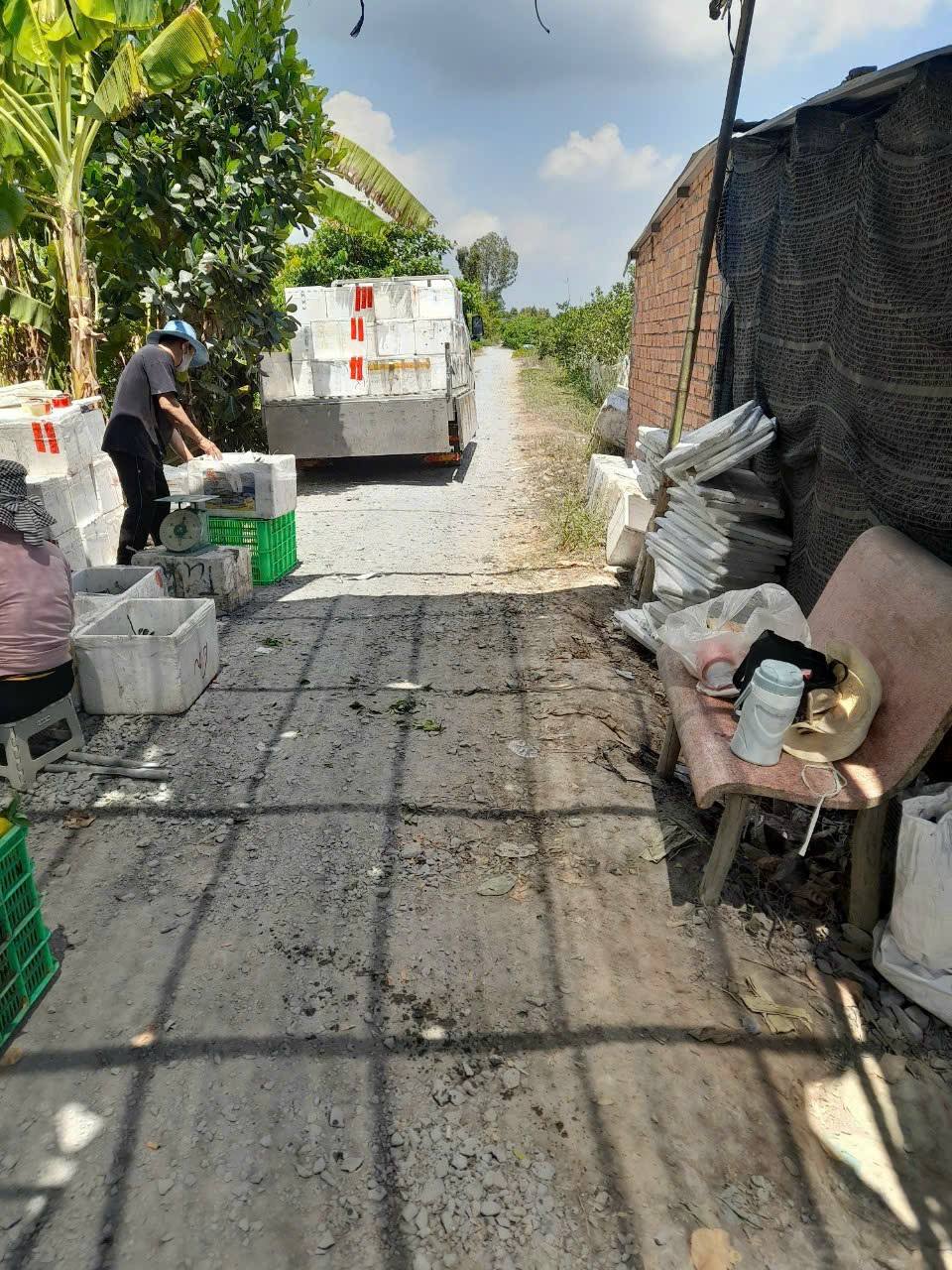 Cần bán gấp lô đất vườn lúa nước với tổng diện tích 6.534m2, tọa lạc tại xã Lấp Vò, huyện Lấp Vò, tỉnh Đồng Tháp