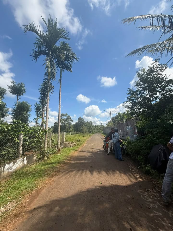 Mặt tiền đẹp như mơ ở Tân An, giá hời bất ngờ