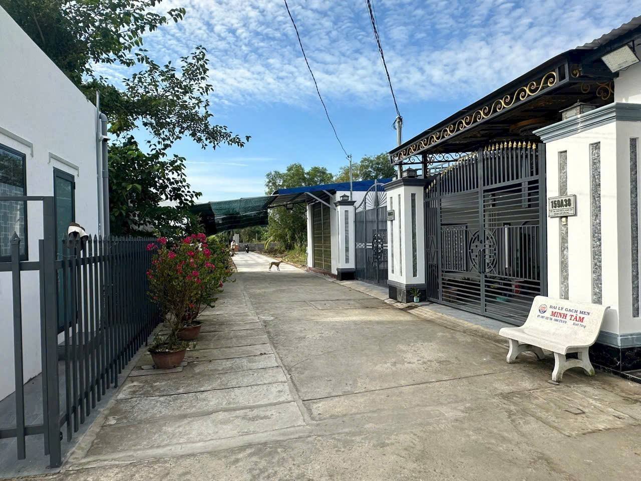 Đất Phú Tân siêu rộng, tha hồ xây biệt phủ, giá chỉ 2.65 tỷ