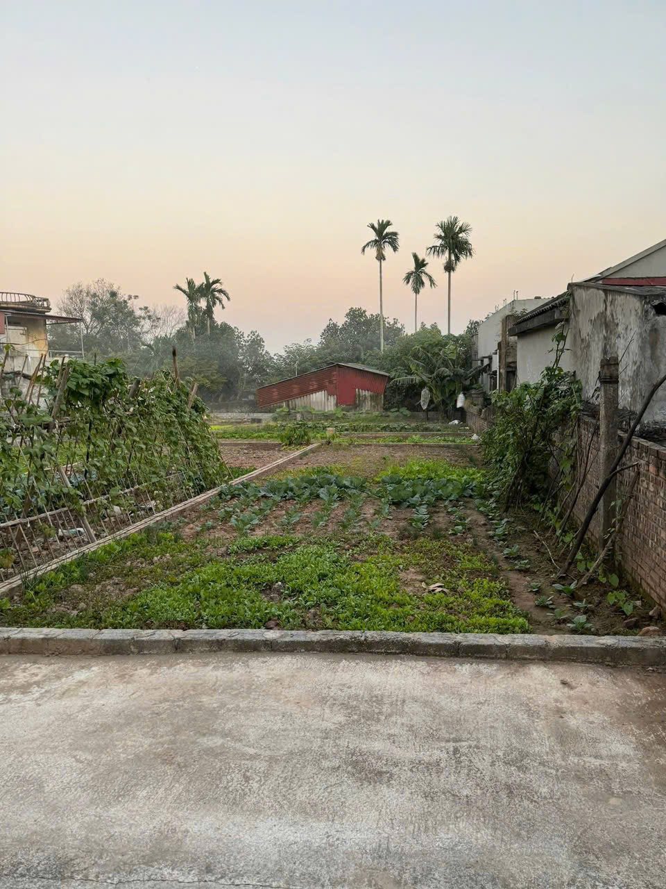 Đất thổ cư 76m2 vuông vắn tại Từ Đài, Duy Tiên, Hà Nam