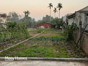 Đất thổ cư 76m2 vuông vắn tại Từ Đài, Duy Tiên, Hà Nam