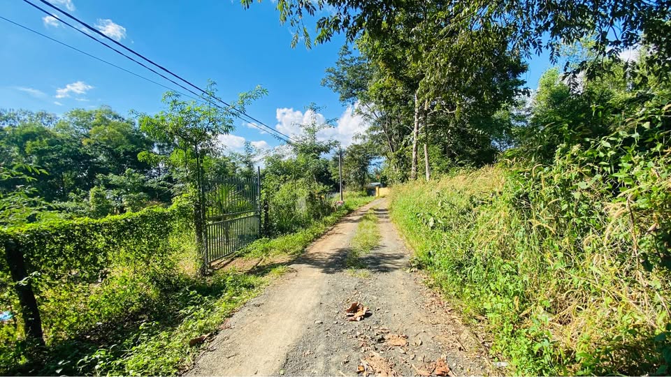 Bán đất sào vuông vắn, thoáng đãng tại xã Ea Nuôl, huyện Buôn Đôn, tỉnh Đắk Lắk