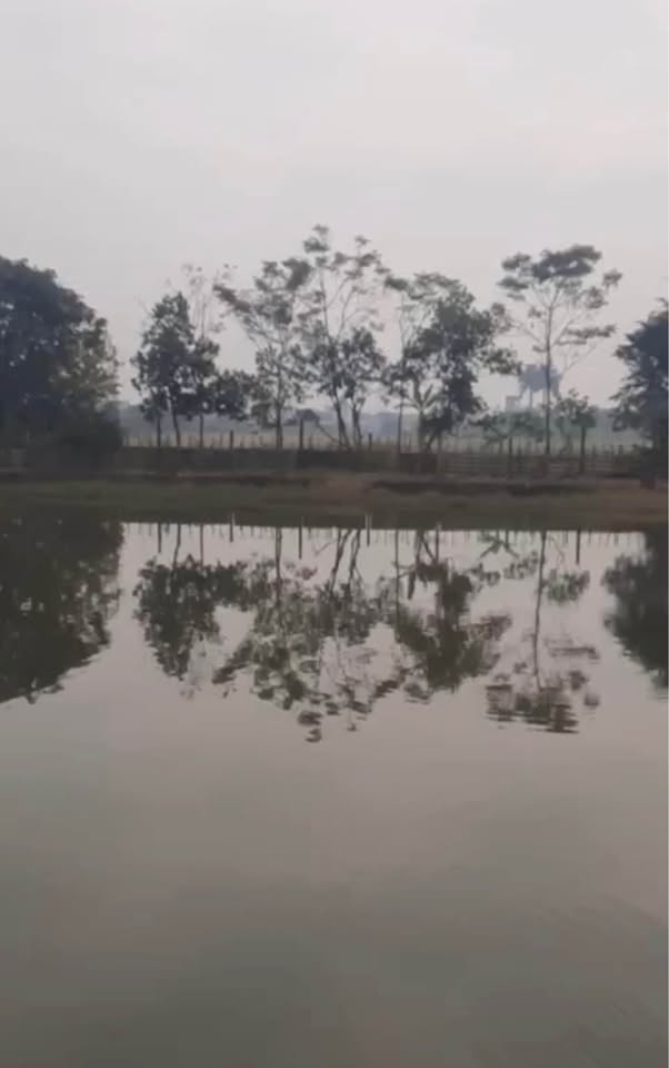 Bạn đang tìm kiếm một không gian nghỉ dưỡng lý tưởng, ngôi nhà vườn tuyệt đẹp tại khu Mỹ Phúc, Mỹ Lộc