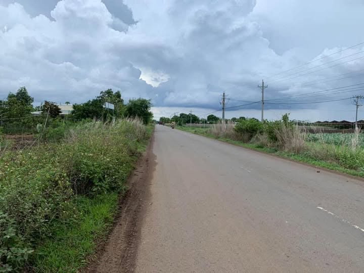 Chính chủ chào bán siêu phẩm đất nền rộng 1.1ha, sở hữu 90m mặt tiền đường nhựa Cọ Dầu