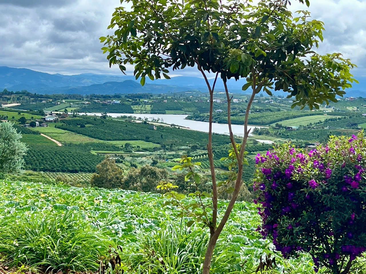 Đất view hồ Phúc Thọ 1000m2 - mặt tiền 19m - sổ đỏ thổ cư 100m2