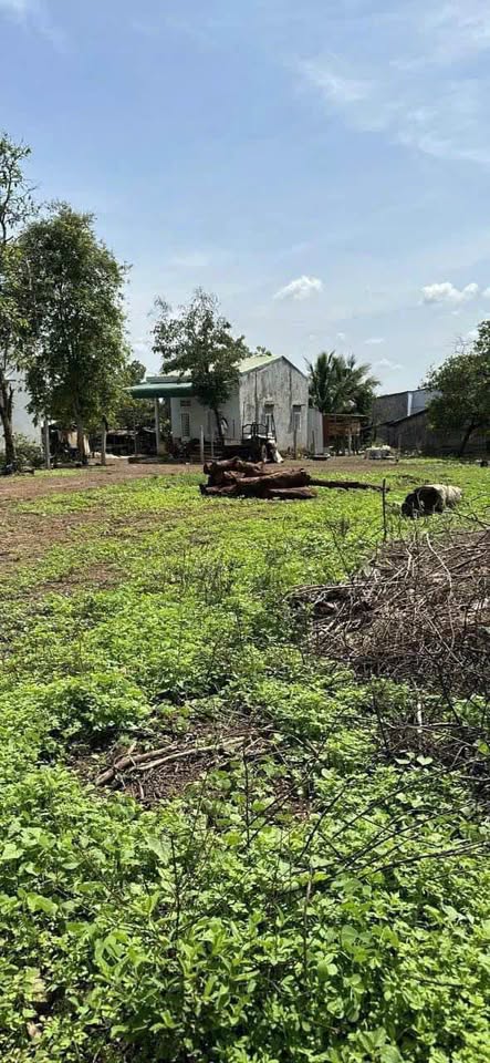 Đất hẻm ô tô, thổ cư 60m2, giá chỉ 399 triệu, hot hit