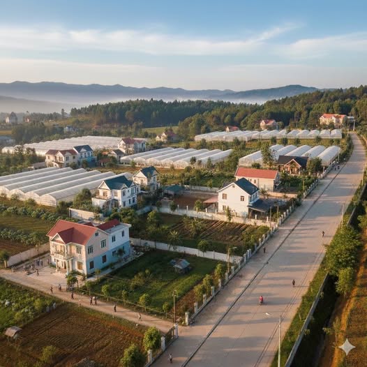 Bán 3.200m² đất sào tại thôn Tân Hiên, xã DRan, Đơn Dương, giá rẻ