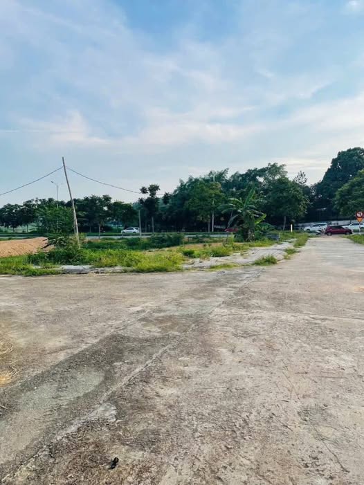 Bán đất B2, đường 36, Hoàng Hoa, Tam Dương, Vĩnh Phúc 100m2, mặt tiền 5m