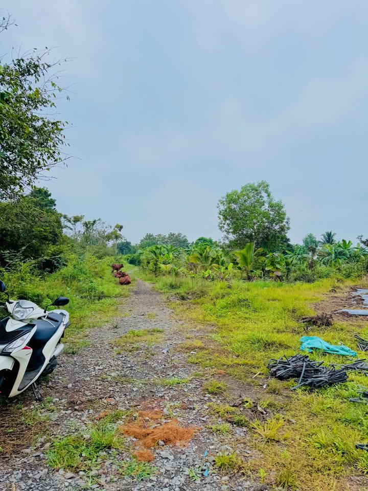 Bán đất vườn 9800m2 mặt tiền đường đá mi tại Phú Vinh, Đồng Nai - Giá 2.5 tỷ