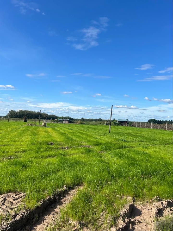 Bán gấp ngay 2 công đất view núi Thạnh Lợi, Thạnh Tân, phường Bình Minh