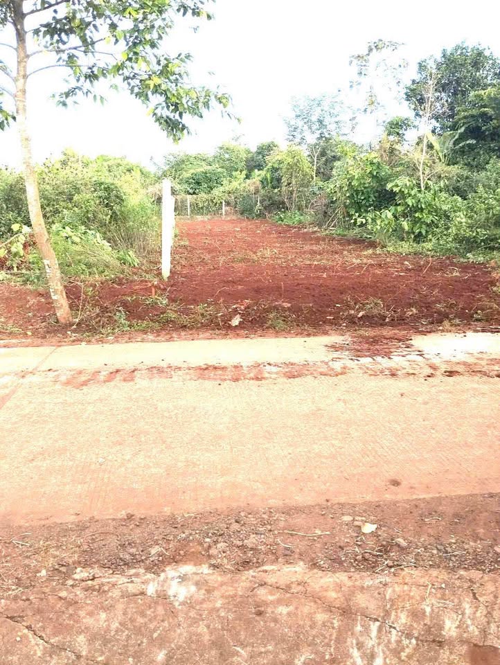 Bán đất 5x33m tại Cư Suê, đường bê tông rộng thênh thang 6m, giá 1,15 tỷ