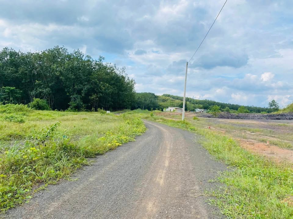 Bán đất 240m2 mặt tiền 5m tại Đồng Xoài, Bình Phước