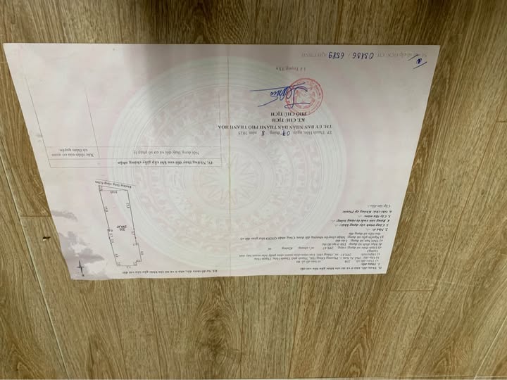 Đất Ái Sơn 10m x 30m giá rẻ, cơ hội đầu tư không thể bỏ lỡ