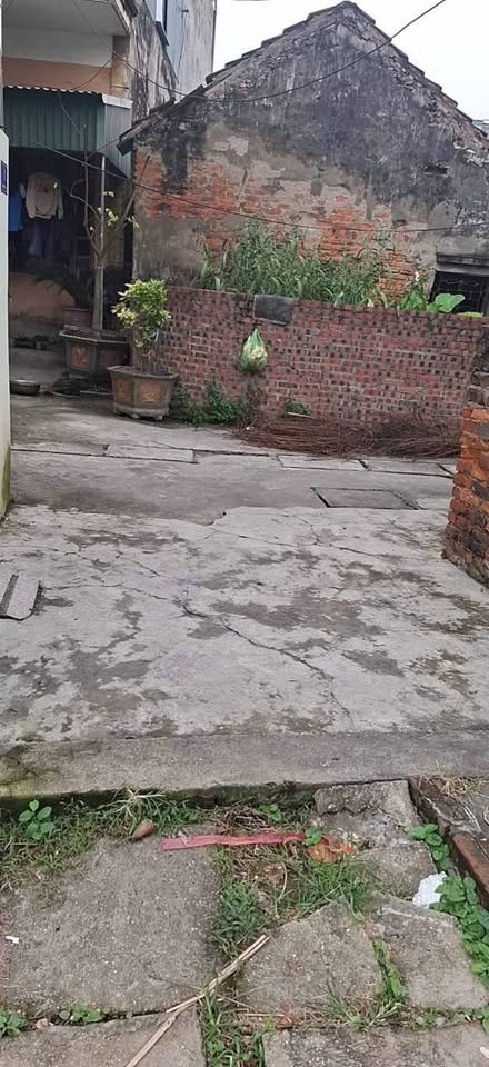 Đất khu 3 Việt Hòa giá siêu mềm cho nhà đầu tư