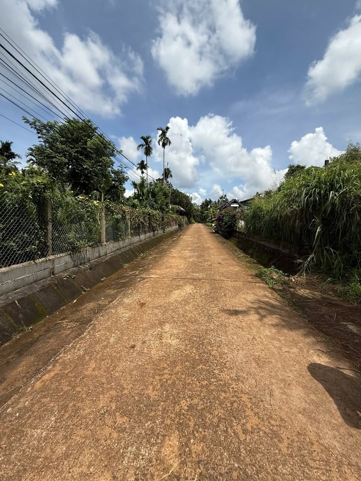 Lô đất vuông vắn 5mx27m tại Hoà Thắng, Tân Lập, cơ hội đầu tư sinh lời