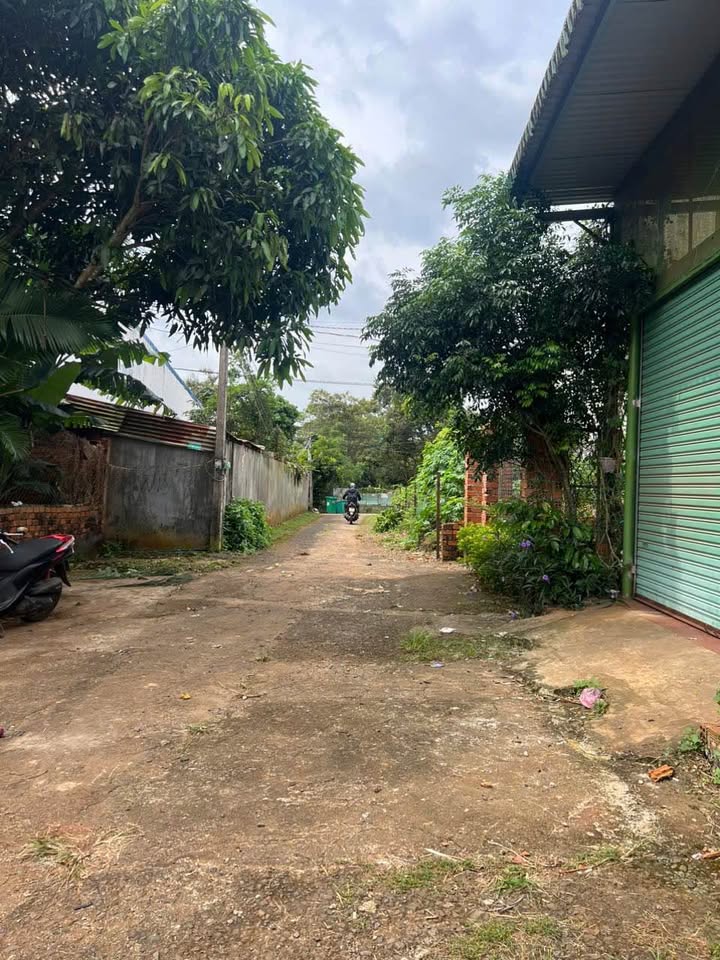 Bán đất nền hẻm ô tô 383 Nguyễn Văn Cừ, Đắk Lắk, chỉ 1.25 tỷ