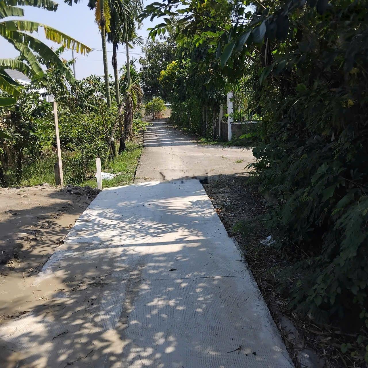 Bán đất thổ cư cho dân đầu tư - cách Đoàn Nguyễn Tuấn 1km