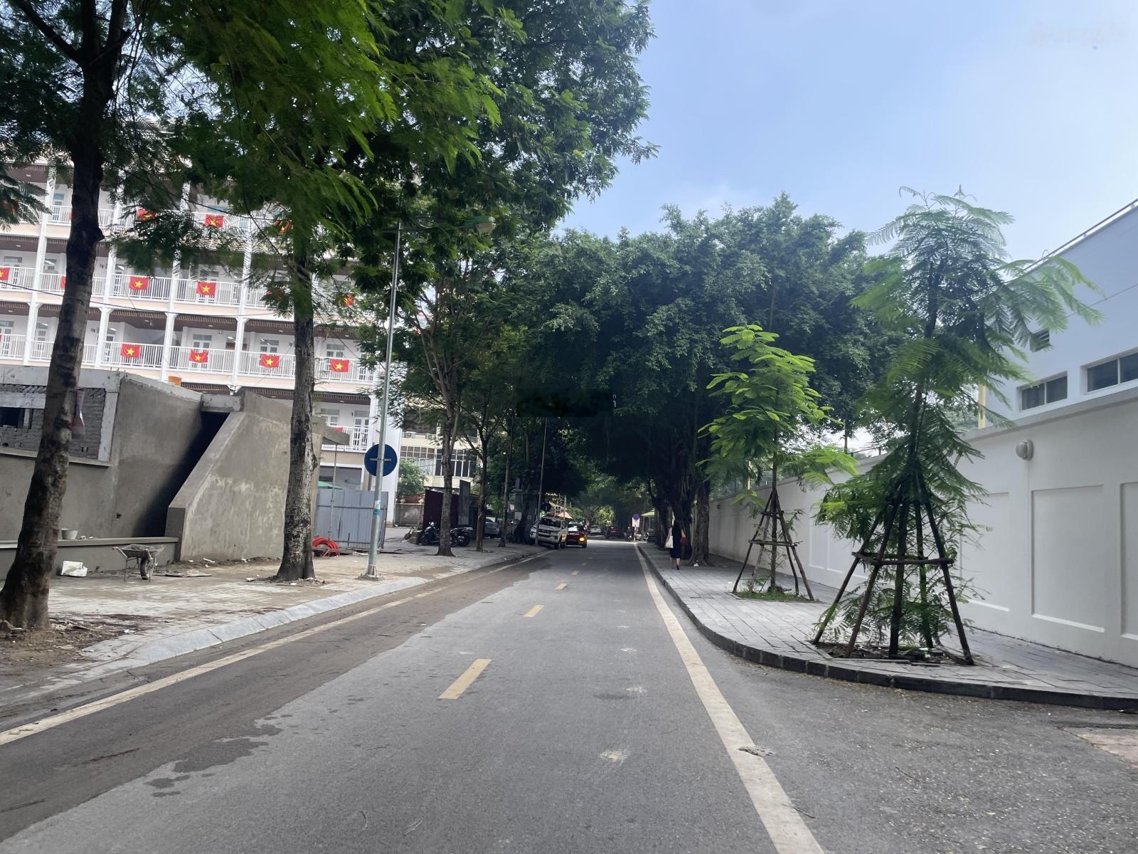 Mặt phố Phan Kế Bính- Linh Lang- Ba Đình 54m-9T-46 tỷ