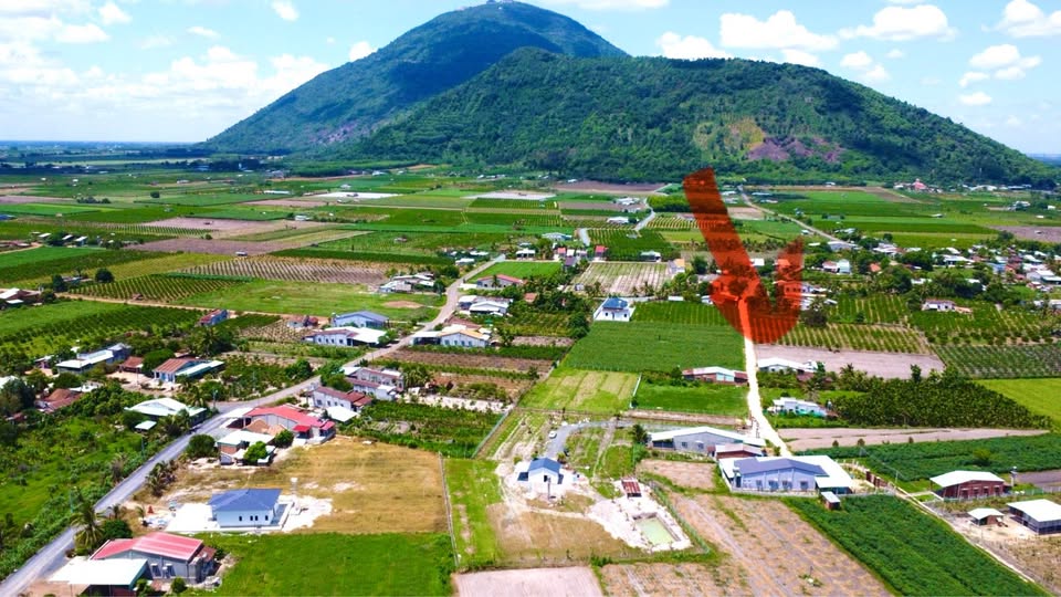 Nhà vườn Thạnh Tân siêu hot, mua là có thu nhập ngay