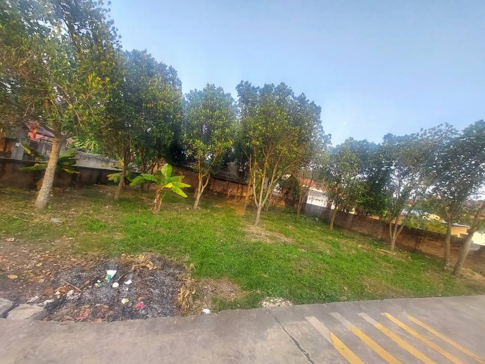 399m² đất vườn hiếm có, mặt tiền 20.5m, giá chỉ 2x.x triệu/m² tại Mê Linh