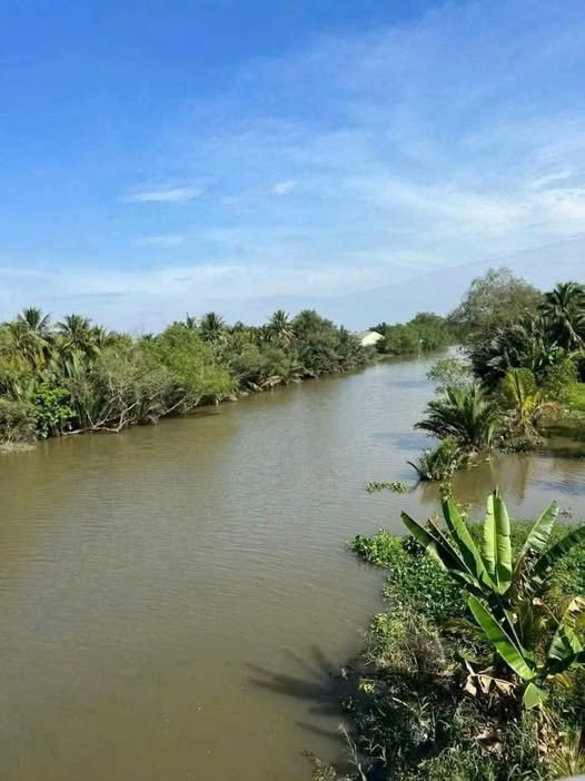 Bán đất mặt tiền sông Ba Lai, Tam Phước, Châu Thành, Bến Tre, diện tích 9000m2, giá trọn thửa 10,5 tỷ