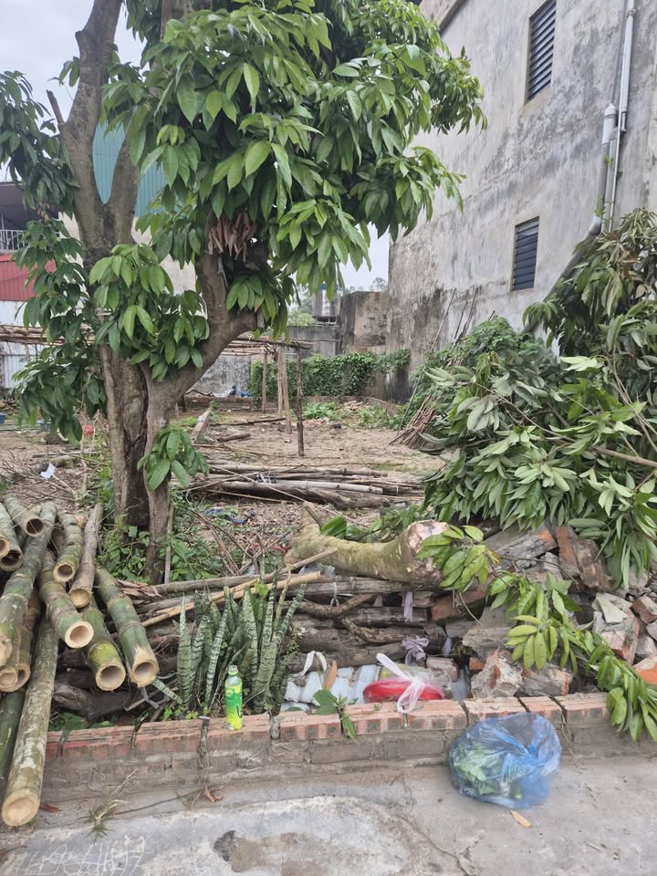 Đất đẹp Đông Côi, Thuận Thành, ngõ ô tô, giá chỉ hơn 1 tỷ