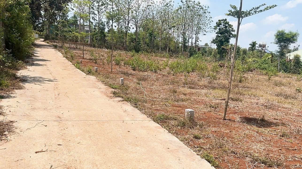 Bán mảnh đất tuyệt đẹp tại Thôn 3, CưM'gar, Đắk Lắk