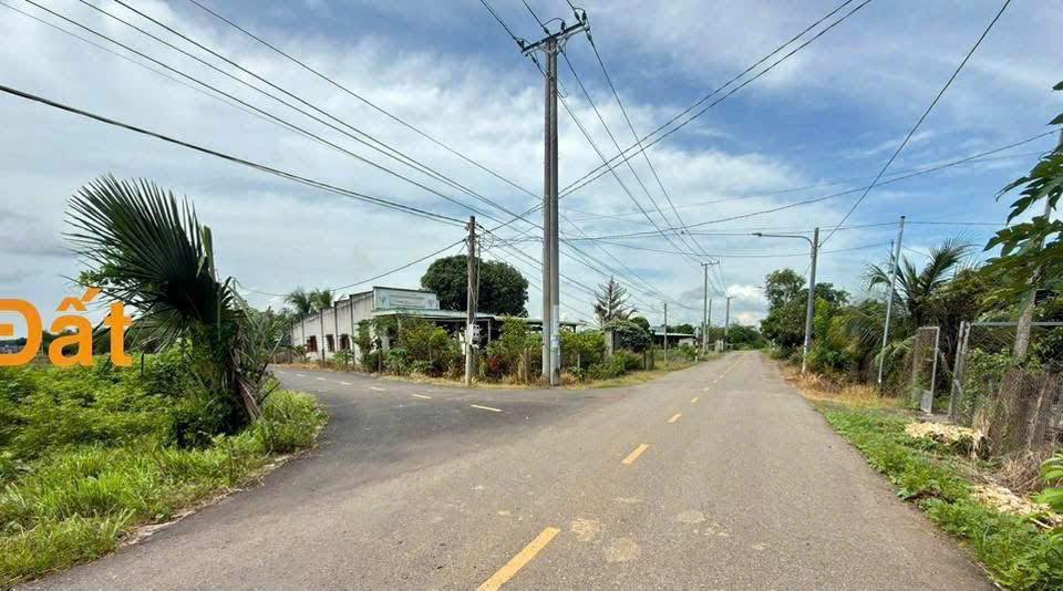 Đất Láng Dài, Đất Đỏ, 300m2, 2 mặt tiền, giá 890 triệu