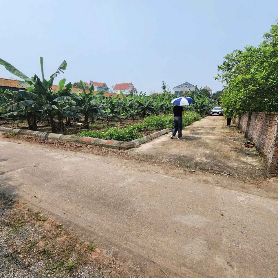 Bán đất thổ cư vuông vắn 85,8m² tại Hùng Cường, Hưng Yên, giá tốt