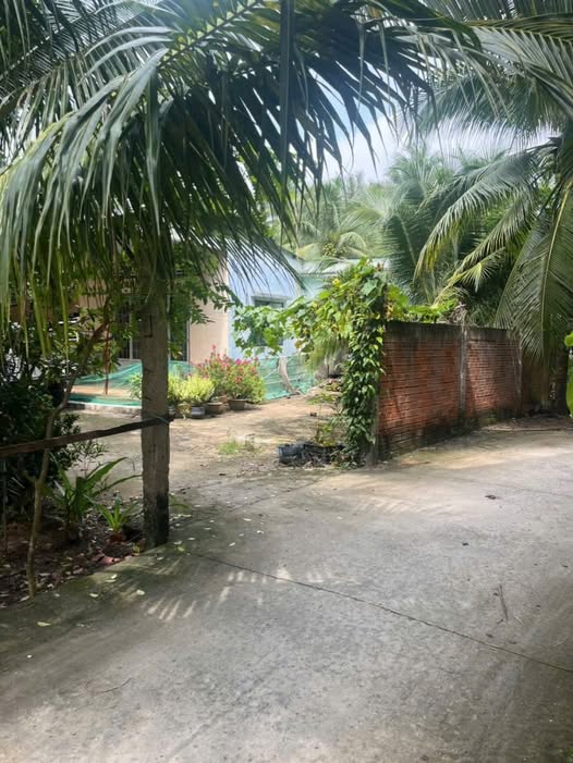 Bán đất Phước Thạnh, thành phố Bến Tre 1,239m2, có 60m2 thổ cư